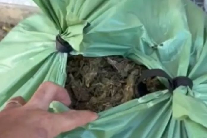 Suspeito de liderar tráfico é preso com 30 kg de maconha no Pilar