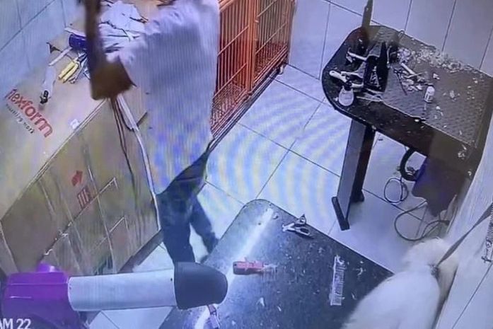 Funcionário de clínica veterinária suspeito de matar cãozinho durante tosa