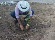 Vereador Vicente do Remédio destaca o Dia Mundial do Meio Ambiente, comemorado hoje 5 de junho