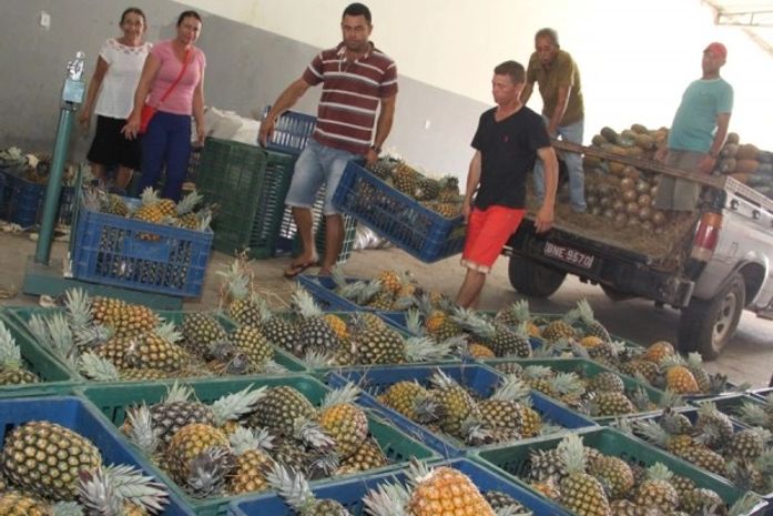 PAA melhora vida de agricultores familiares de Arapiraca