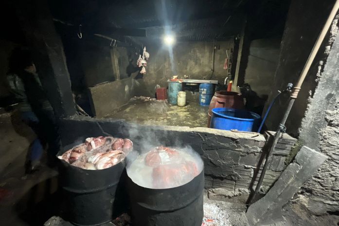 Abatedouro clandestino: fiscalização apreende 650 kg de produtos suínos “sem qualquer higiene”