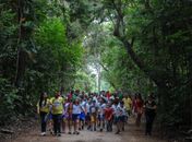 Parque do Horto
