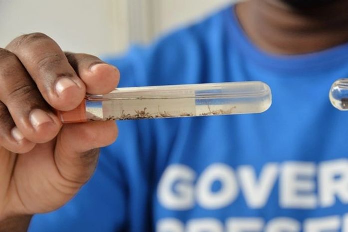 Secretaria de Saúde promove ação de combate ao aedes aegypti neste sábado (12)