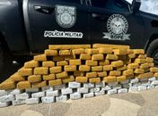 Carreta com quase 98 kg de maconha é apreendida na divisa entre Alagoas e Sergipe; casal é preso