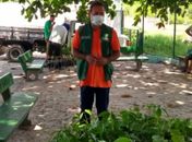 Meio Ambiente de Branquinha garante centenas de mudas de árvores para arborização da cidade