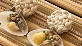 Moda verão: Novos comportamentos impulsionam negócios autorais em Alagoas