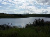 Entrave jurídico impede continuidade de Projeto Bálsamo  de Palmeira dos Índios