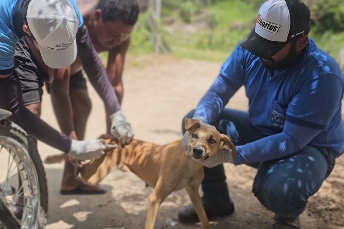 Campanha de Vacinação Antirrábica é iniciada em Santana do Ipanema
