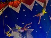 Sua majestade, o circo pede passagem e tenta sobreviver à pandemia e falta de apoio