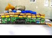 Após denúncia, polícia encontra mais de 50 Kg de maconha escondidos em residência