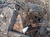 Furto de cabos de cobre no viaduto da PRF traz prejuízos financeiros, para segurança e mobilidade