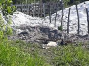 Dois cadáveres são do sexo feminino e um masculino.