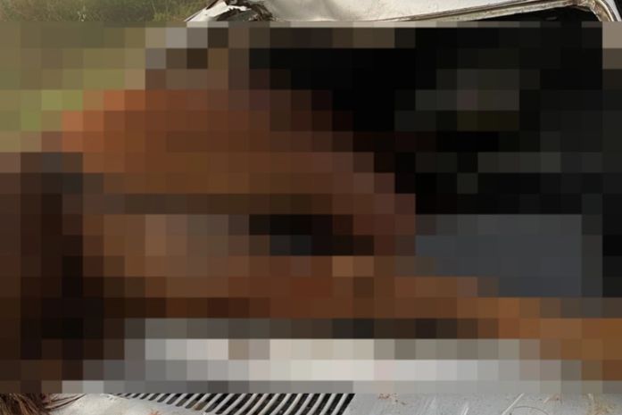 Cavalo colide com carro deixando motorista ferido no interior de AL
