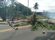 Após forte ventania, poste cai e causa incêndio em vegetação na AL-220
