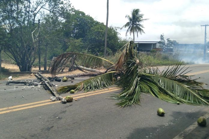 Após forte ventania, poste cai e causa incêndio em vegetação na AL-220

