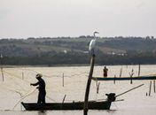 Sexto lote do seguro-defeso será disponibilizado na terça-feira
