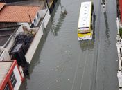 Ônibus ilhado na Rua Miguel Palmeira