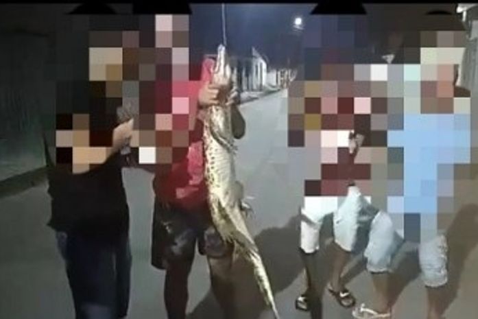 Vídeo divulgado nas redes sociais mostra grupo com Jacaré em Pilar.
