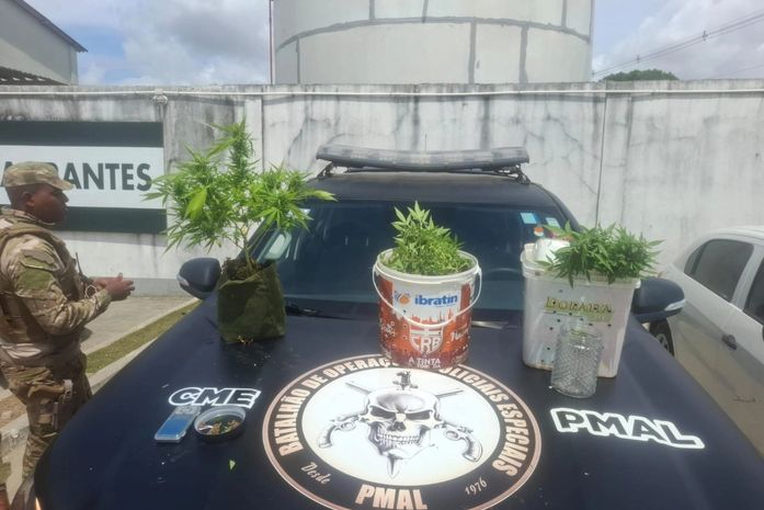Homem é preso com 5 kg de drogas em Maceió; polícia encontra plantação de maconha no local