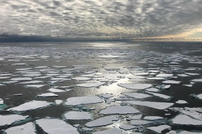 Vírus gigantes são encontrados pela primeira vez no gelo da Groenlândia, diz pesquisa