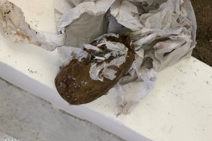 Agentes flagram mulher tentando entrar em presídio com drogas nas partes íntimas