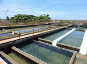 Agreste Saneamento efetua manutenção preventiva no Sistema Coletivo na próxima quarta-feira