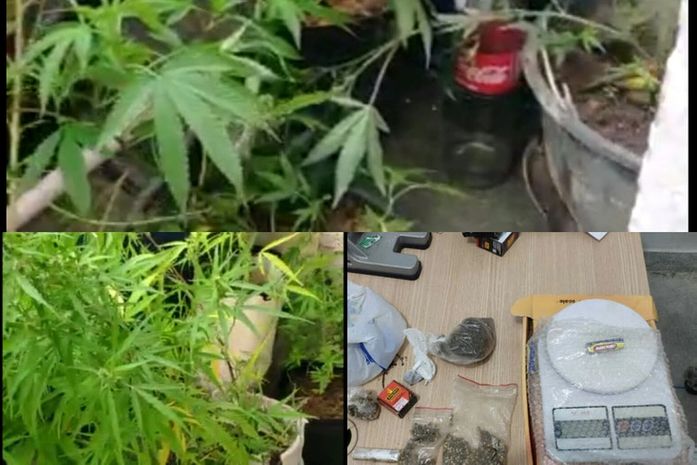 Dois homens são presos por tráfico de drogas e alegam se tratar de uma 'seita religiosa'