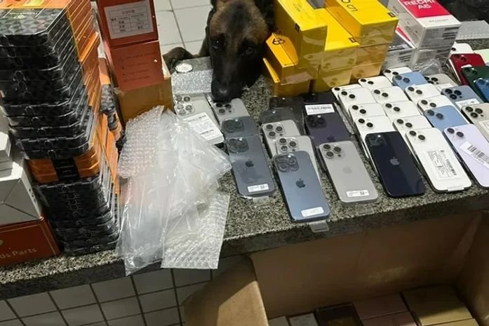 iPhones e perfumes importados são apreendidos em ônibus interestadual na BR-101