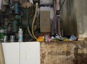 Quase meia tonelada de alimentos estragados é apreendida durante fiscalização em Maceió 