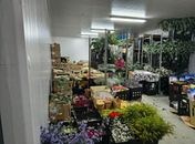 Sefaz apreende R$ 100 mil em flores sem documentação fiscal em depósito 