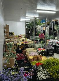 Sefaz apreende R$ 100 mil em flores sem documentação fiscal em depósito