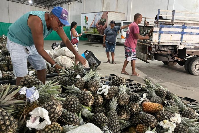 Governo de Alagoas lança Programa de Aquisição de Alimentos a ser executado em 2024