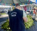 Procon Maceió divulga pesquisa de preços com itens juninos
