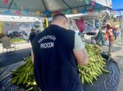 Procon Maceió divulga pesquisa de preços com itens juninos
