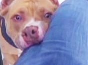 Cinegrafista registrou o momento que foi atacado