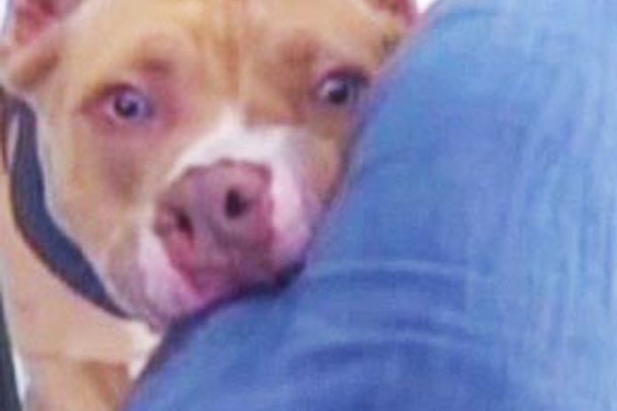 Cinegrafista registrou o momento que foi atacado