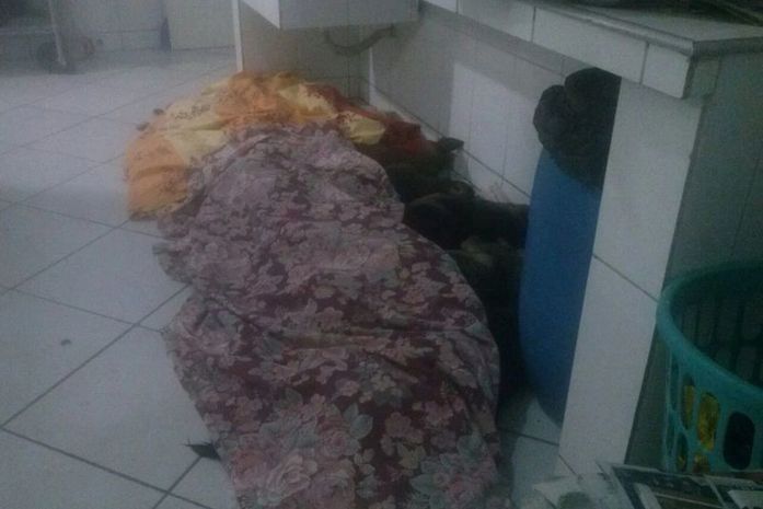 Cães morrem por envenenamento (Foto: Anna Cláudia Almeida)/Arquivo