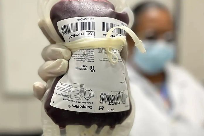 Crianças com hemofilia A terão tratamento menos invasivo previsto em protocolo do SUS