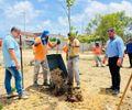 Projeto Arborizar é Massa planta árvores frutíferas no Salvador Lyra