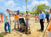 Projeto Arborizar é Massa planta árvores frutíferas no Salvador Lyra