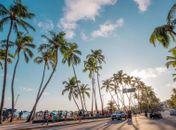Maceió se destaca como um dos destinos mais procurados nos feriados de novembro