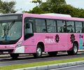 Motorista para "Ônibus Rosa" em delegacia após questionar documento de jovem trans em Maceió