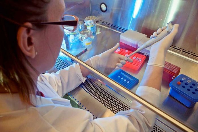 Inteligência artificial pode evitar testes químicos em animais