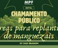 Caso Braskem: MPF abre chamada para recuperar manguezais após perda de vegetação em Maceió 