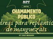 Caso Braskem: MPF abre chamada para recuperar manguezais após perda de vegetação em Maceió 