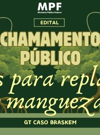 Caso Braskem: MPF abre chamada para recuperar manguezais após perda de vegetação em Maceió