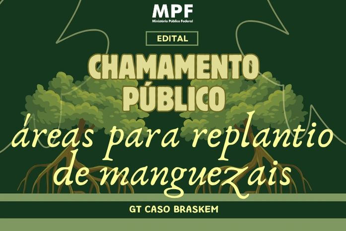 Caso Braskem: MPF abre chamada para recuperar manguezais após perda de vegetação em Maceió