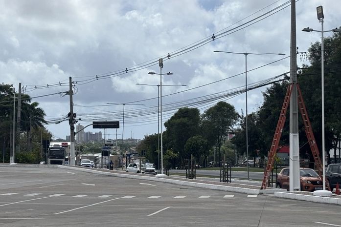 Mais de 44 toneladas de cabos irregulares são retiradas da Avenida Durval de Góes Monteiro