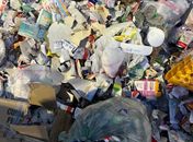 Centenas de medicamentos descartados irregularmente são recolhidos na Mangabeiras