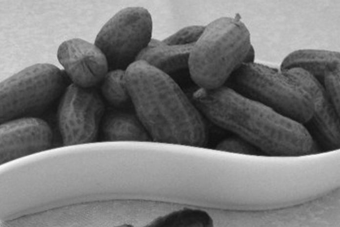 Onde estão seus filhos, agora?